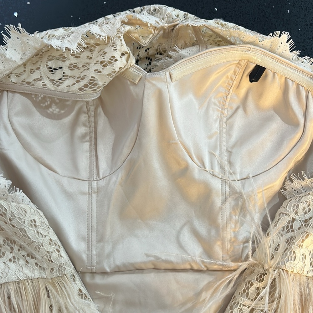 Feather and Lace Dress - Picture 8 of 14